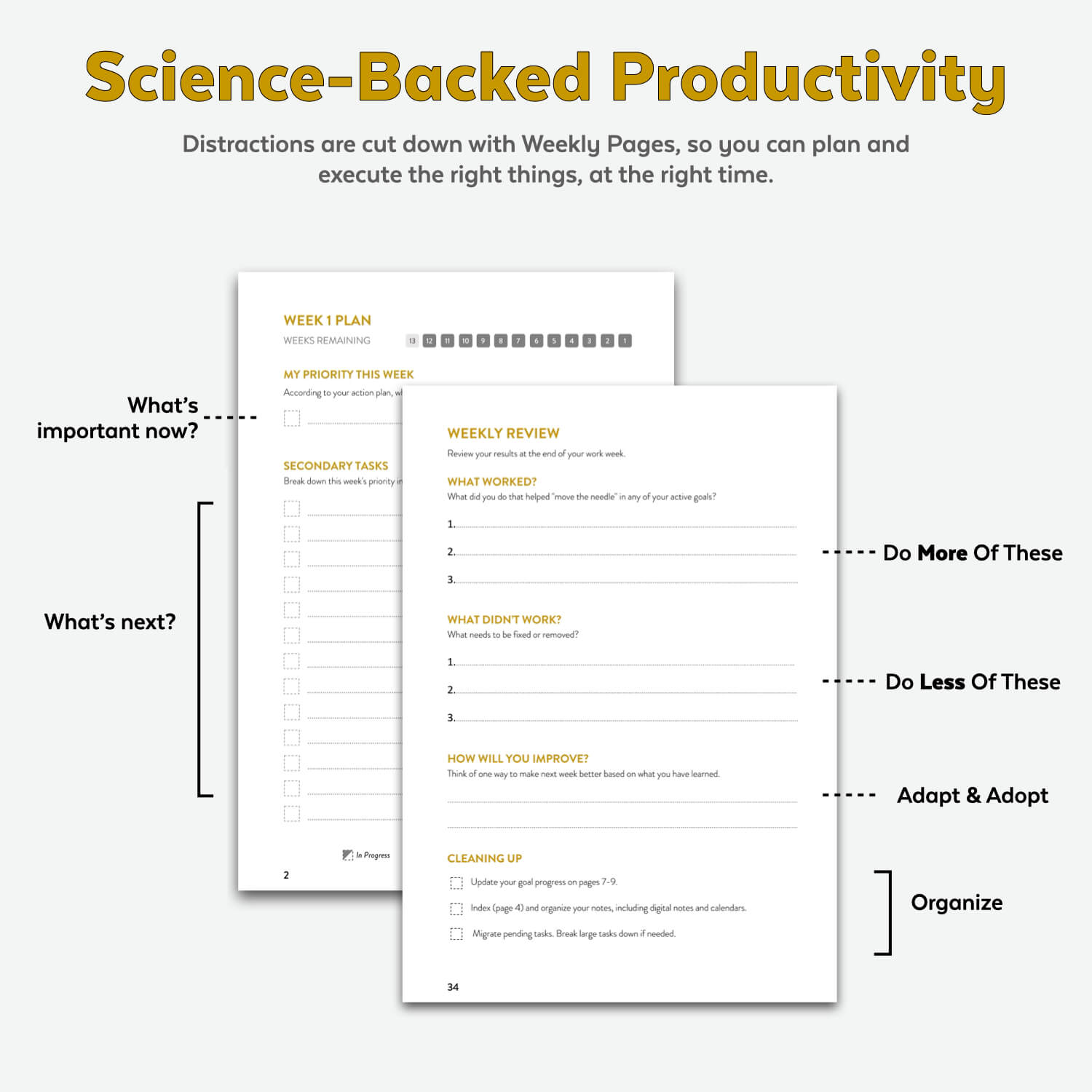 Finisher's Journal Printables (Digital Download) - Finisher Secrets